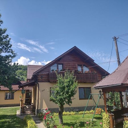 Pensiunea Ghita Vasile Vadu Izei Bagian luar foto