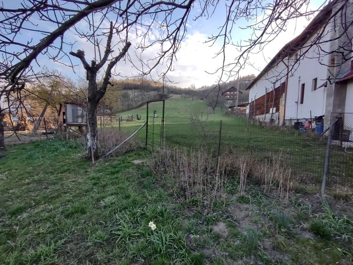 Pensiunea Ghita Vasile Vadu Izei Bagian luar foto