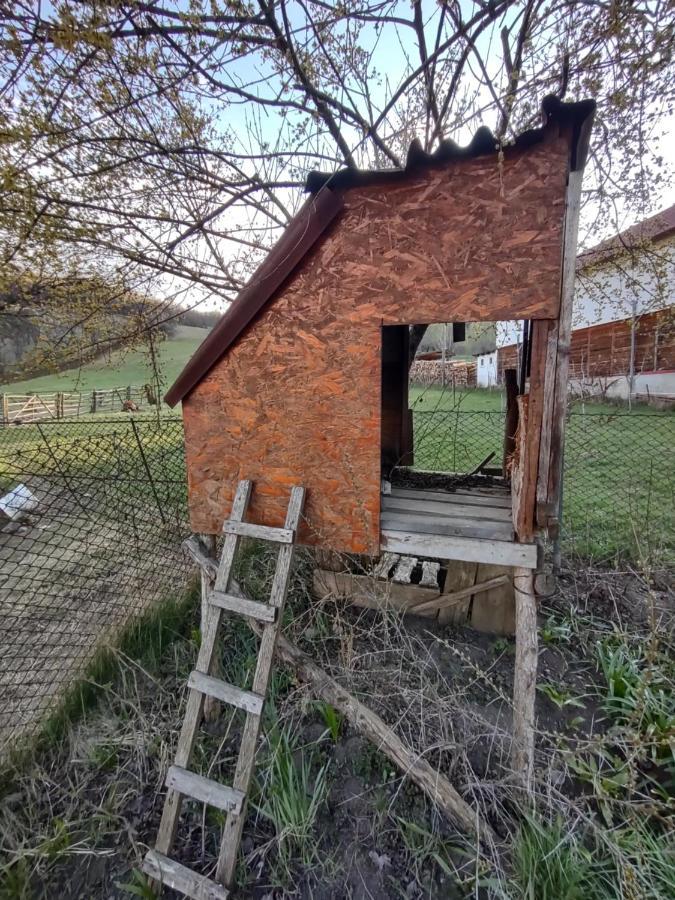 Pensiunea Ghita Vasile Vadu Izei Bagian luar foto