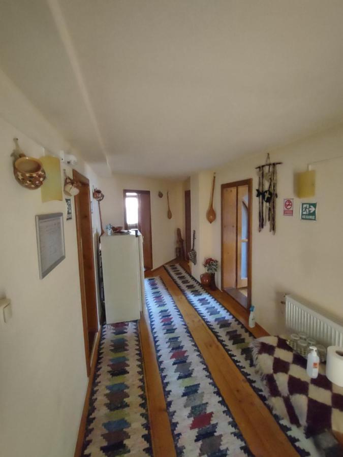 Pensiunea Ghita Vasile Vadu Izei Bagian luar foto