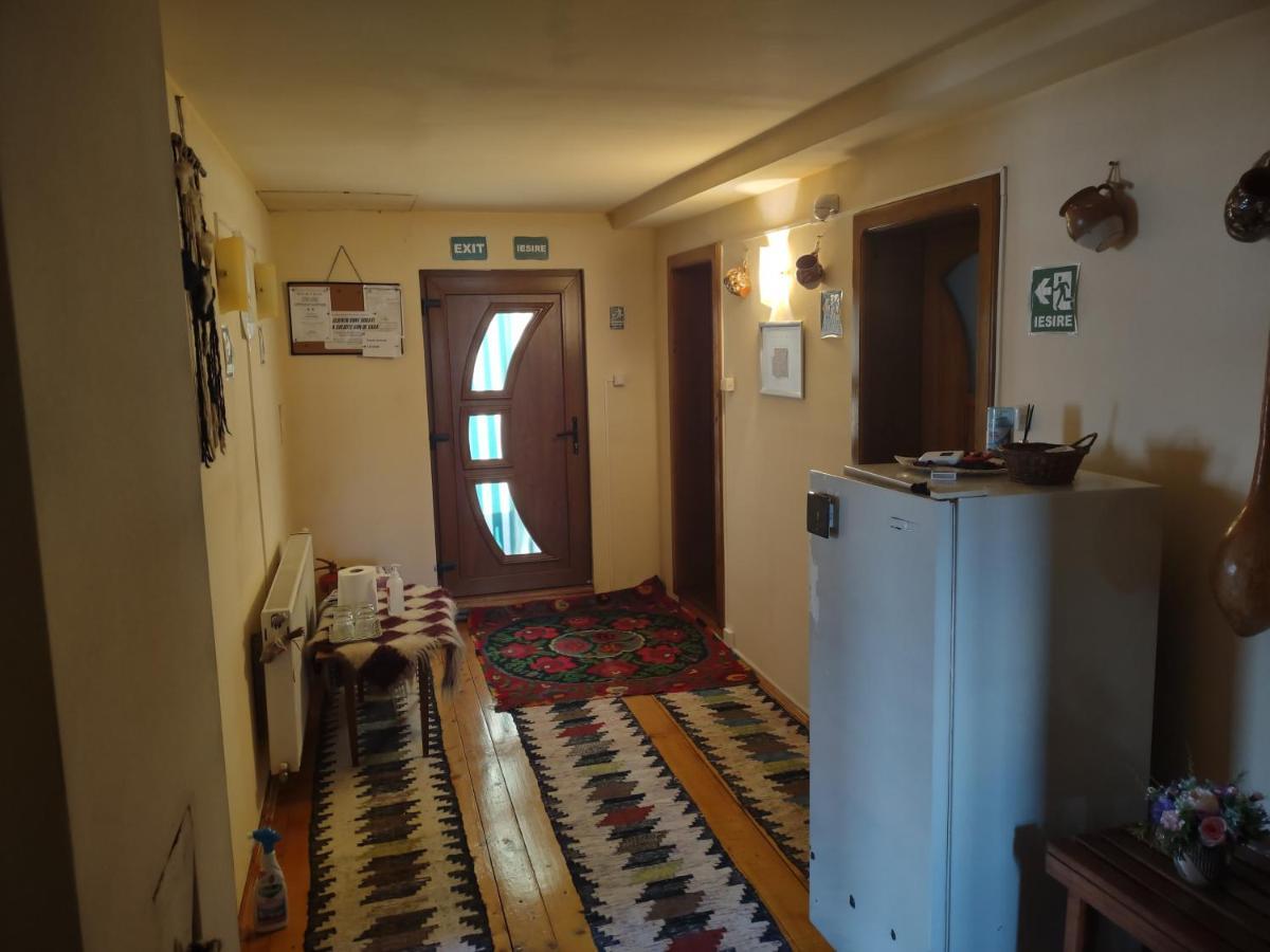 Pensiunea Ghita Vasile Vadu Izei Bagian luar foto