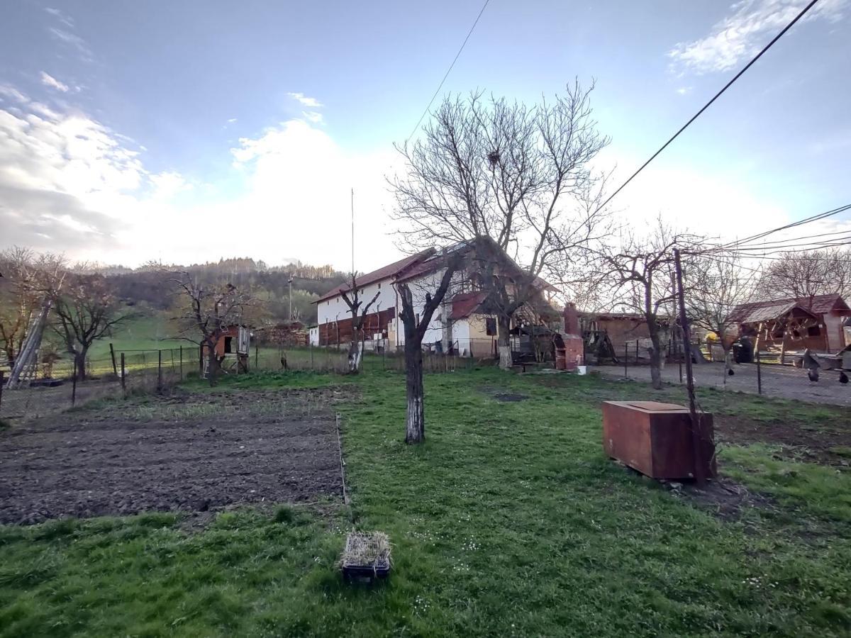 Pensiunea Ghita Vasile Vadu Izei Bagian luar foto