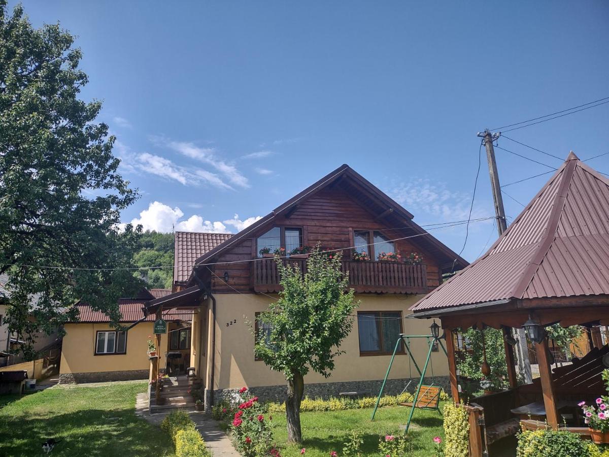 Pensiunea Ghita Vasile Vadu Izei Bagian luar foto