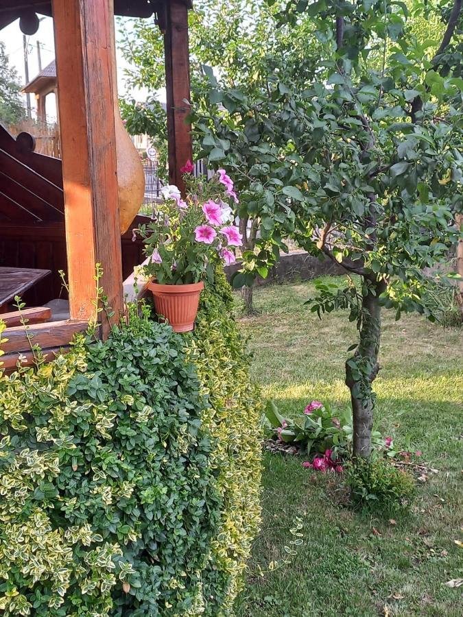 Pensiunea Ghita Vasile Vadu Izei Bagian luar foto