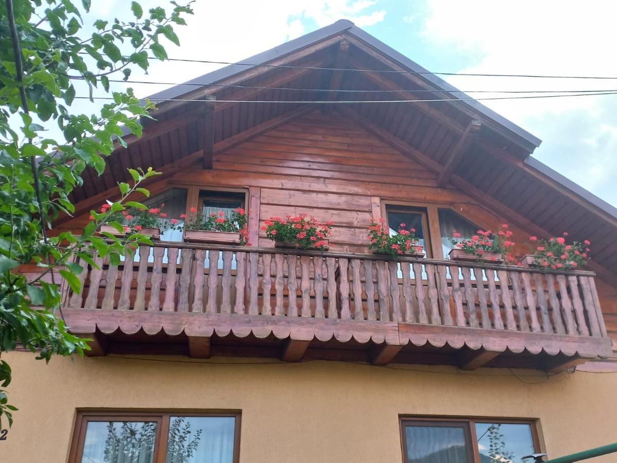 Pensiunea Ghita Vasile Vadu Izei Bagian luar foto
