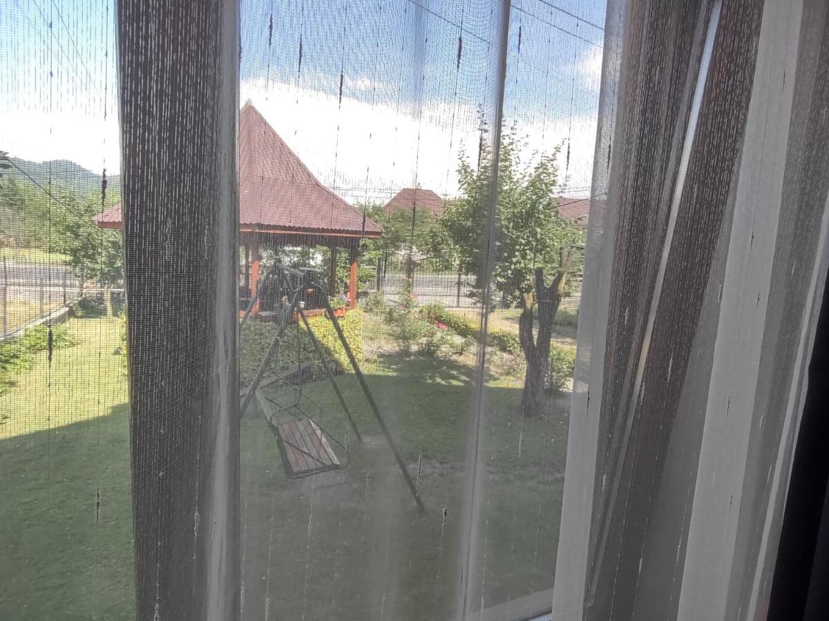 Pensiunea Ghita Vasile Vadu Izei Bagian luar foto