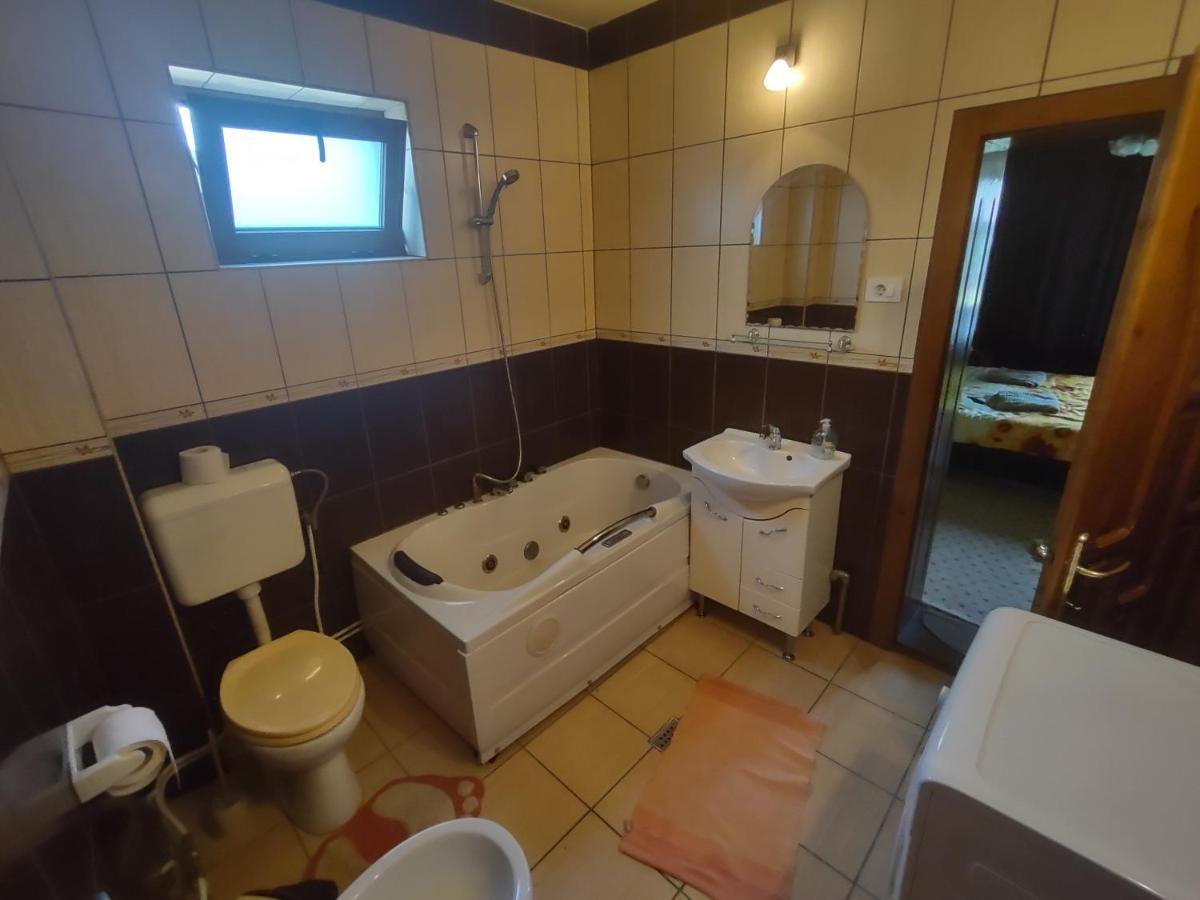 Pensiunea Ghita Vasile Vadu Izei Bagian luar foto