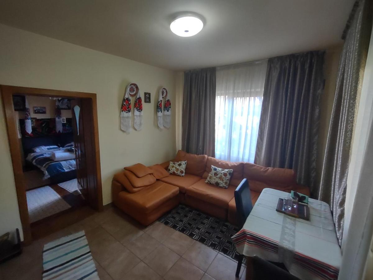 Pensiunea Ghita Vasile Vadu Izei Bagian luar foto